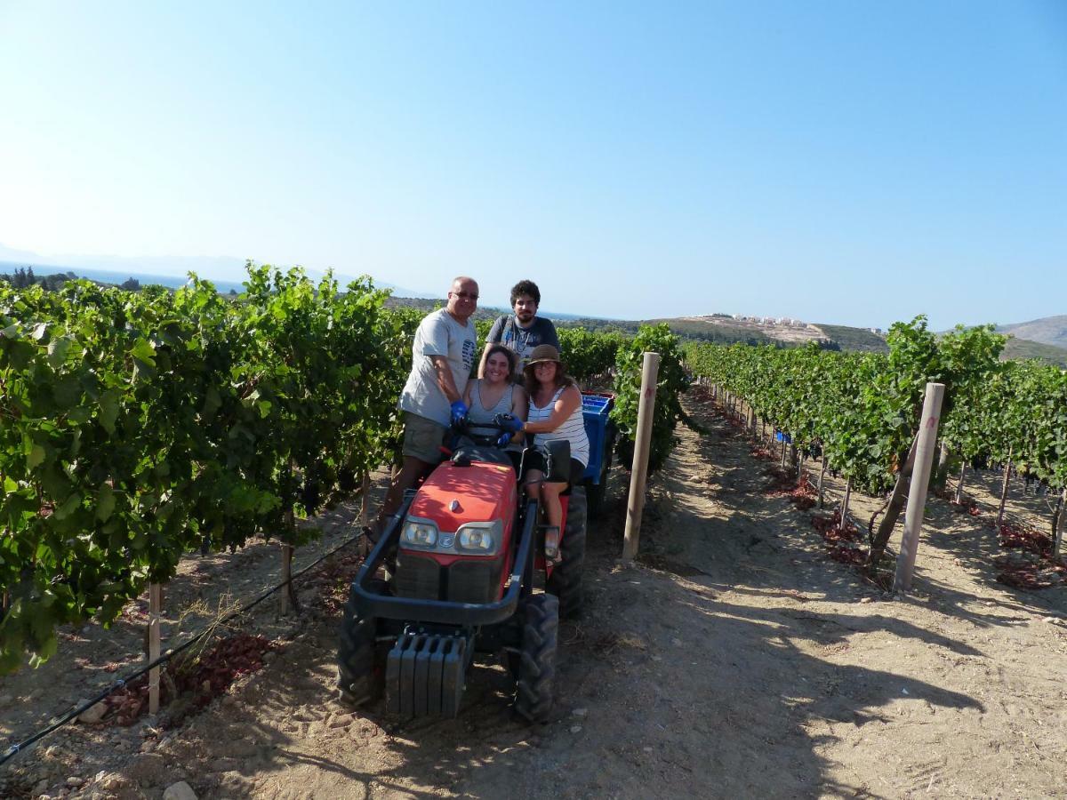 Datca Vineyard Guesthouse Екстер'єр фото