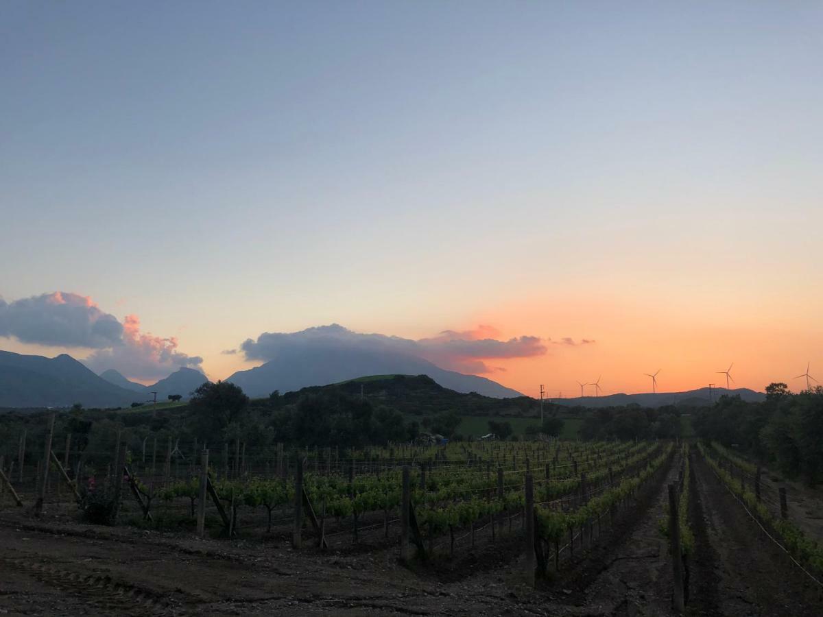 Datca Vineyard Guesthouse Екстер'єр фото